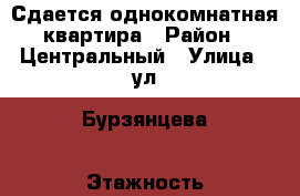 Сдается однокомнатная квартира › Район ­ Центральный › Улица ­ ул. Бурзянцева › Этажность дома ­ 5 › Цена ­ 10 000 - Оренбургская обл., Оренбург г. Недвижимость » Квартиры аренда   . Оренбургская обл.,Оренбург г.
